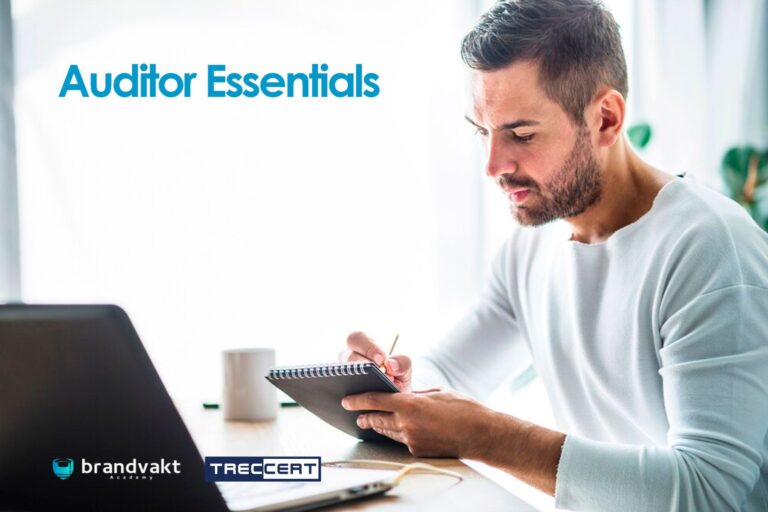 Auditor Essentials